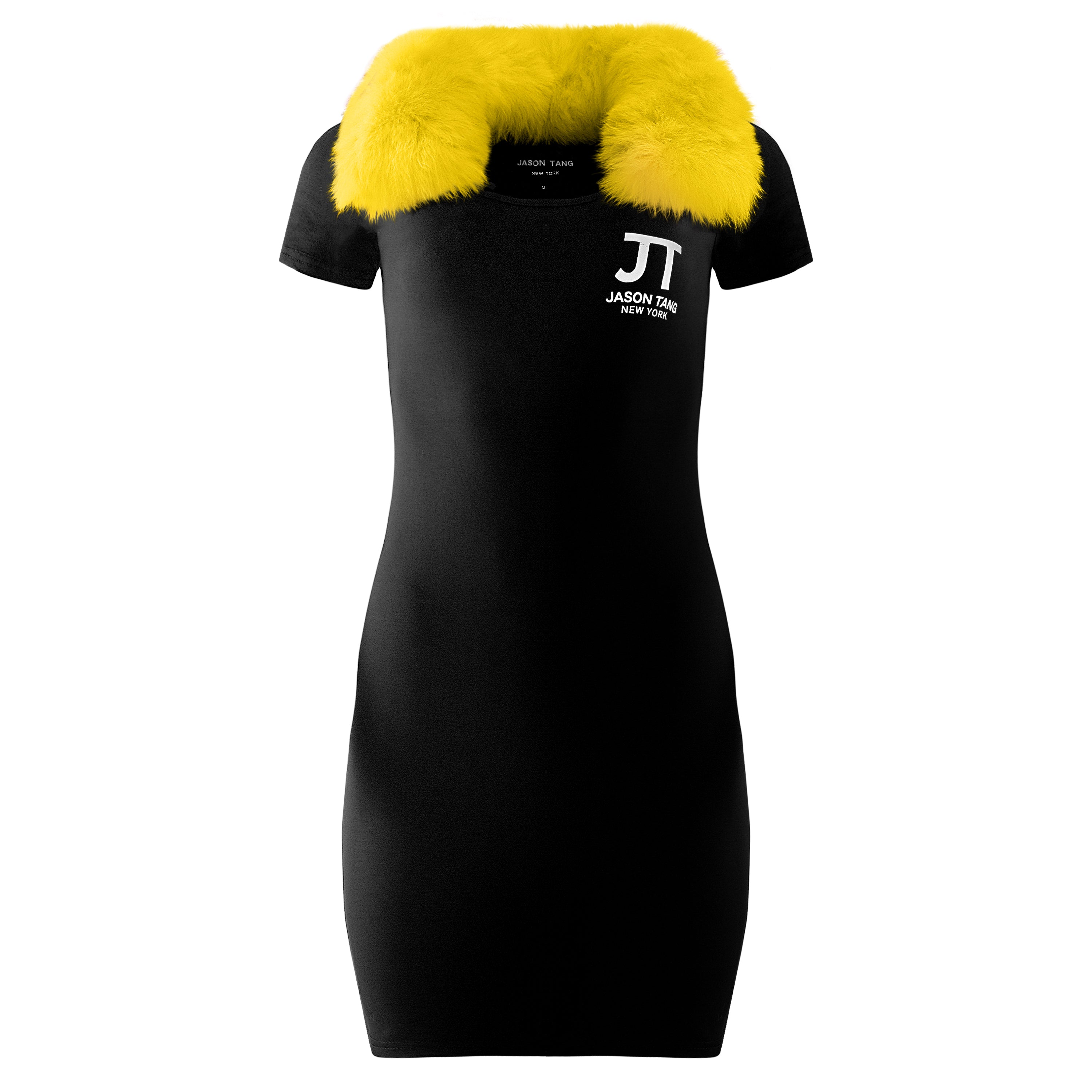 Jason Tang 2018 Vintage women’s fur collar dress